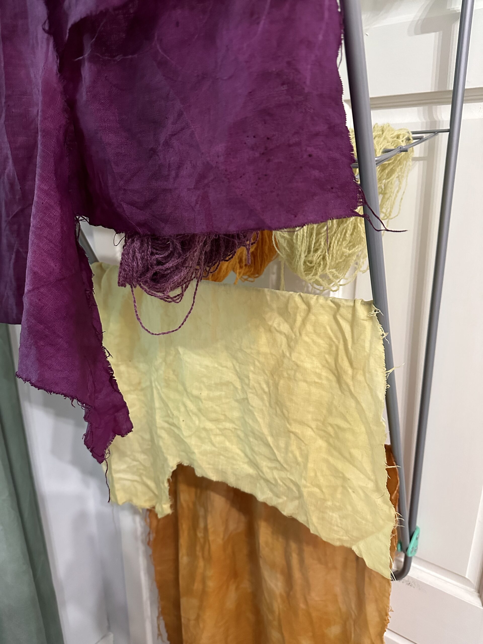 My first experiments in natural dyeing