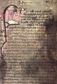Page from Lebor na Nuachongbála Dublin, TCD, MS 1339 (olim MS H 2.18)